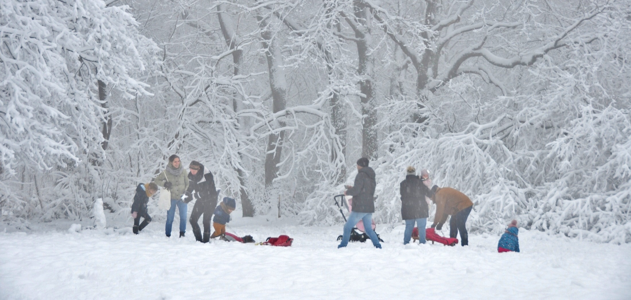 Extreme Snowfall and Hazardous Conditions in Belgium and Germany: Live Updates – March 3rd