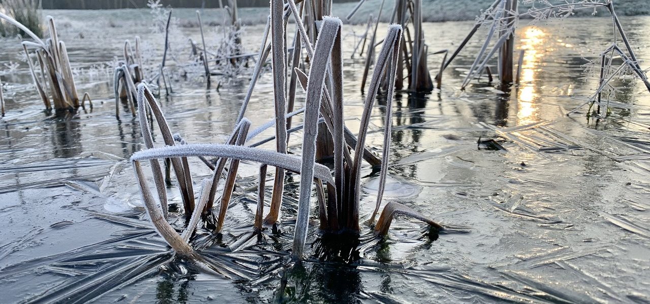Weekend weer: winters en koud slot van januari