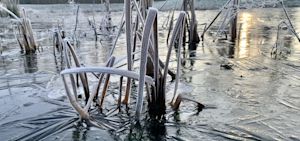 Weekend weer: winters en koud slot van januari