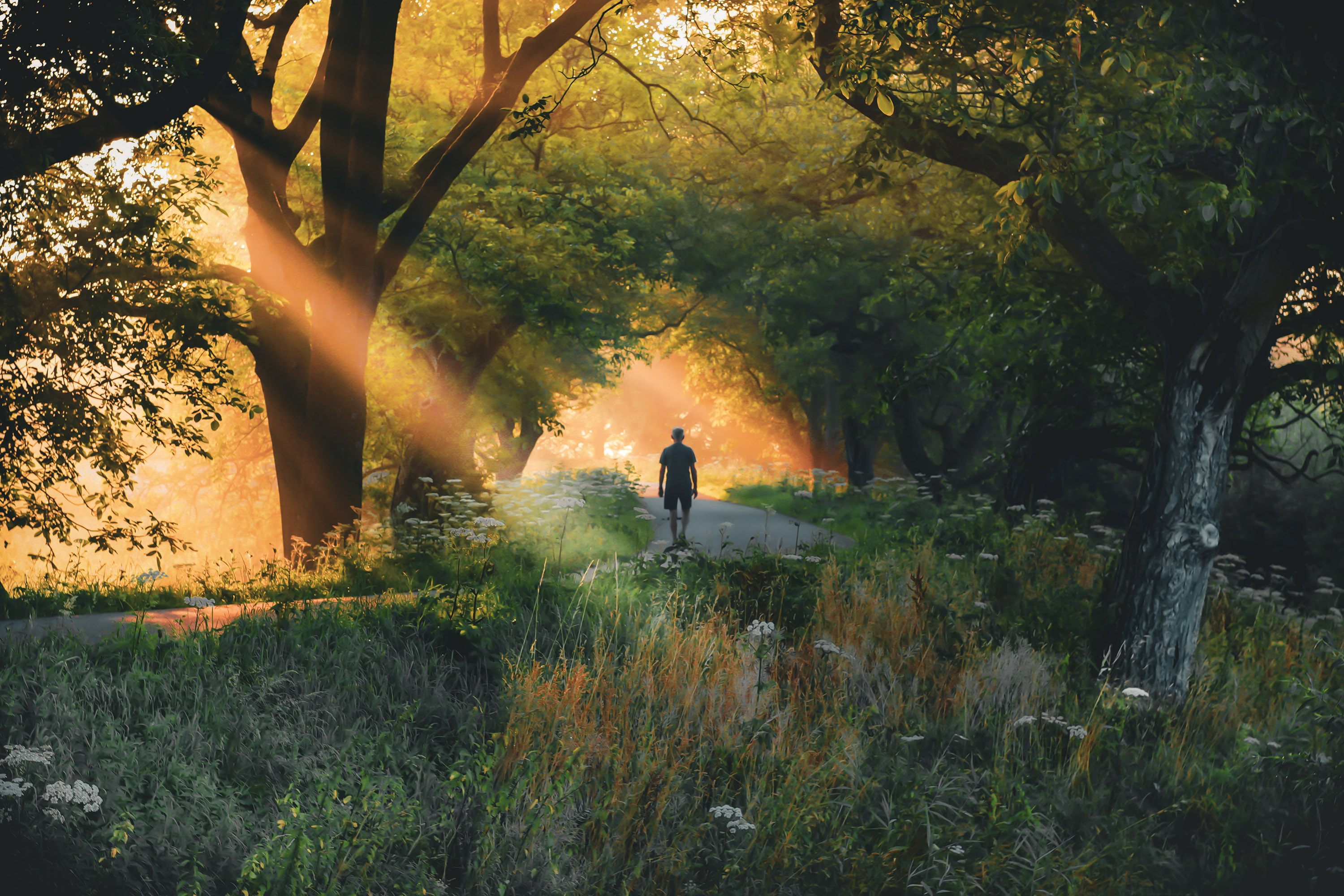 Sprookjesachtige sfeer bij zonsopkomst. Foto: Chris Biesheuvel