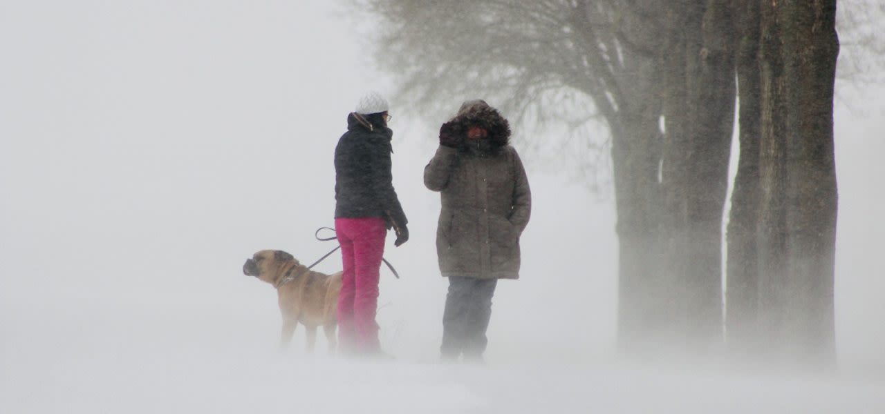 7da63fb5-willem-van-engelenhoven-sneeuwstorm-darcy-7-februari-2021-terugblik-1280x600