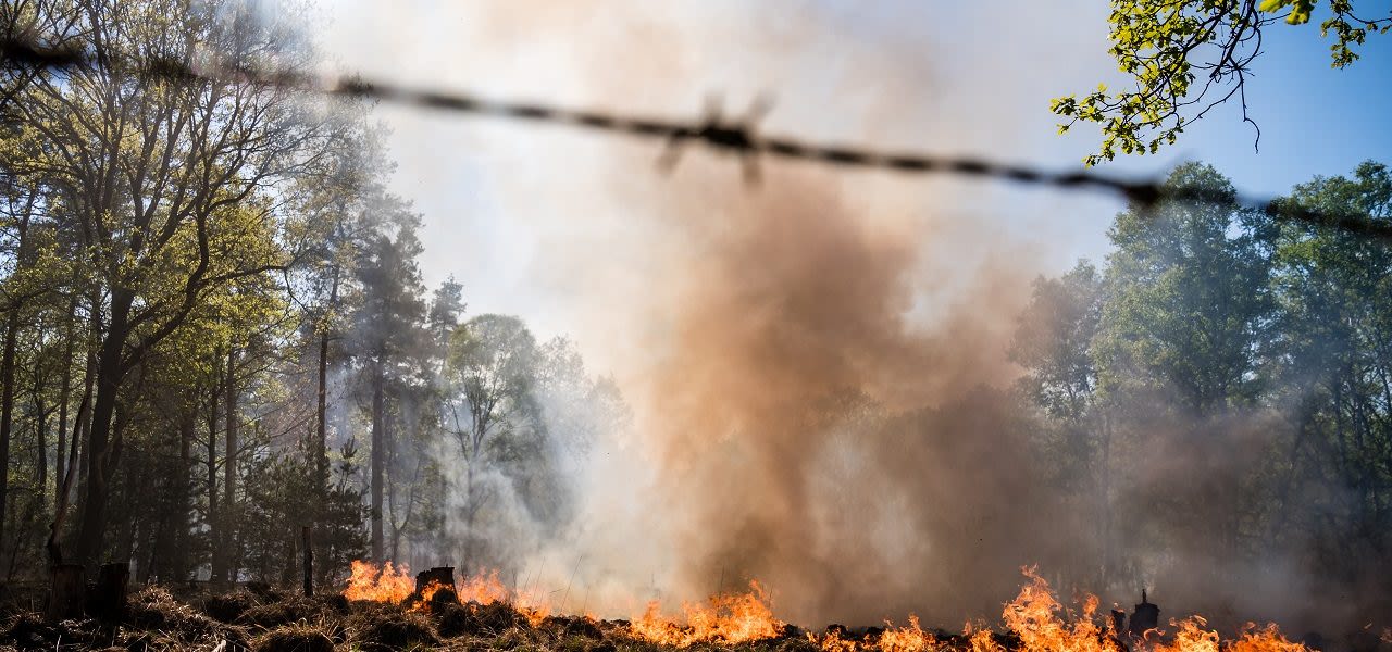 brand-Meinweg-1280x600