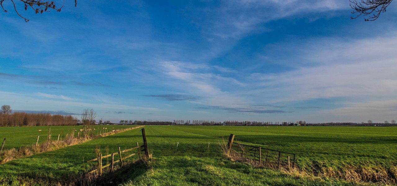 Klimaatverandering: december is één graad opgewarmd