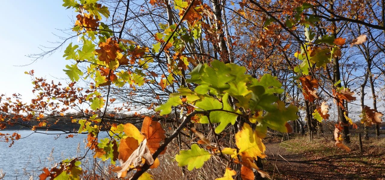 0e16b7ff-weerfotobs-1280x600