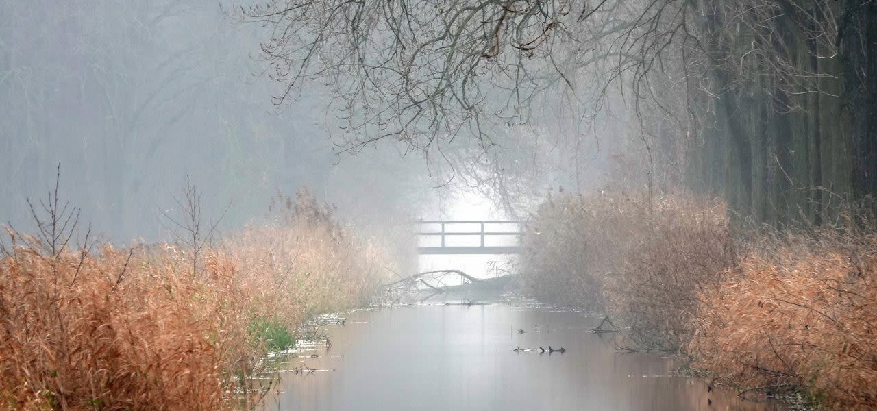 2f88f565-weerfotobs-1280x600