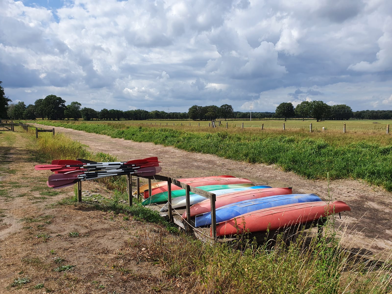 Droogte in de Achterhoek in 2018. Foto: Johnny Willemsen