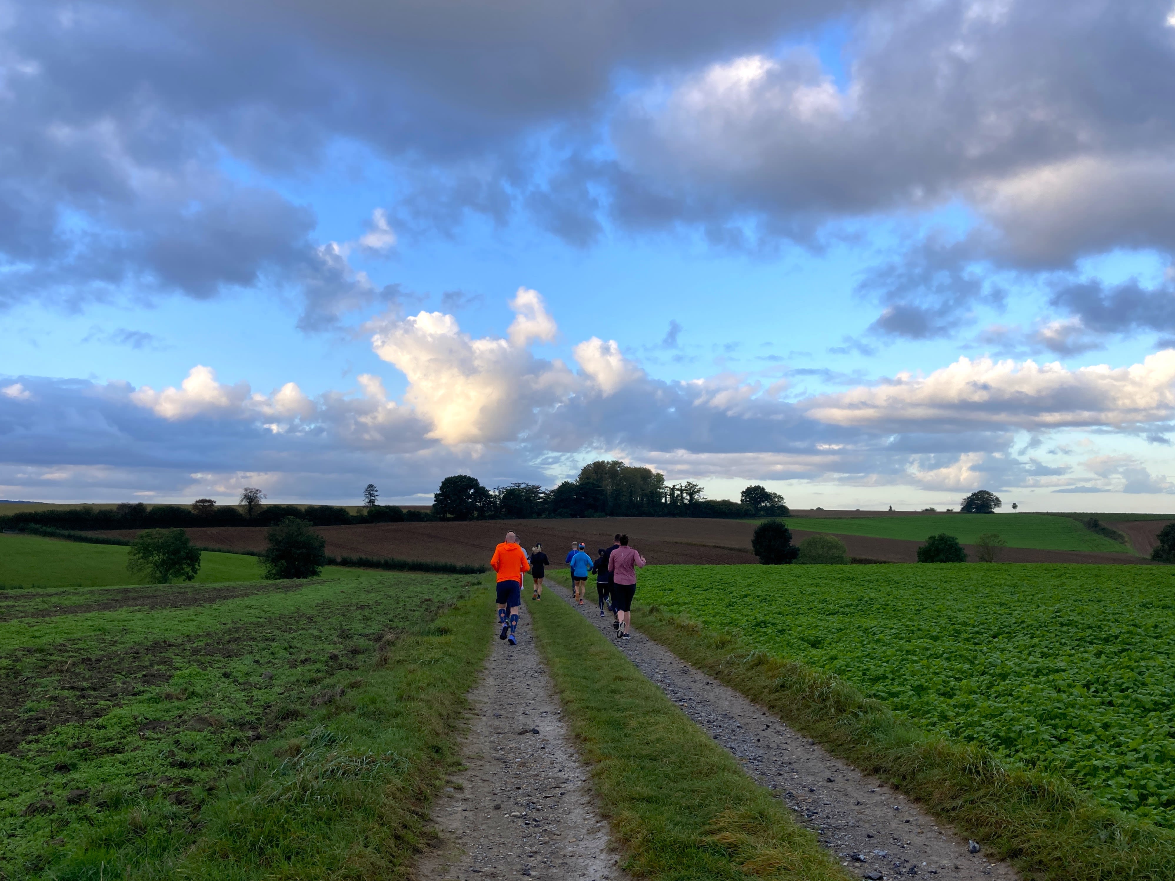 Weekverwachting een week met allerlei gezichten