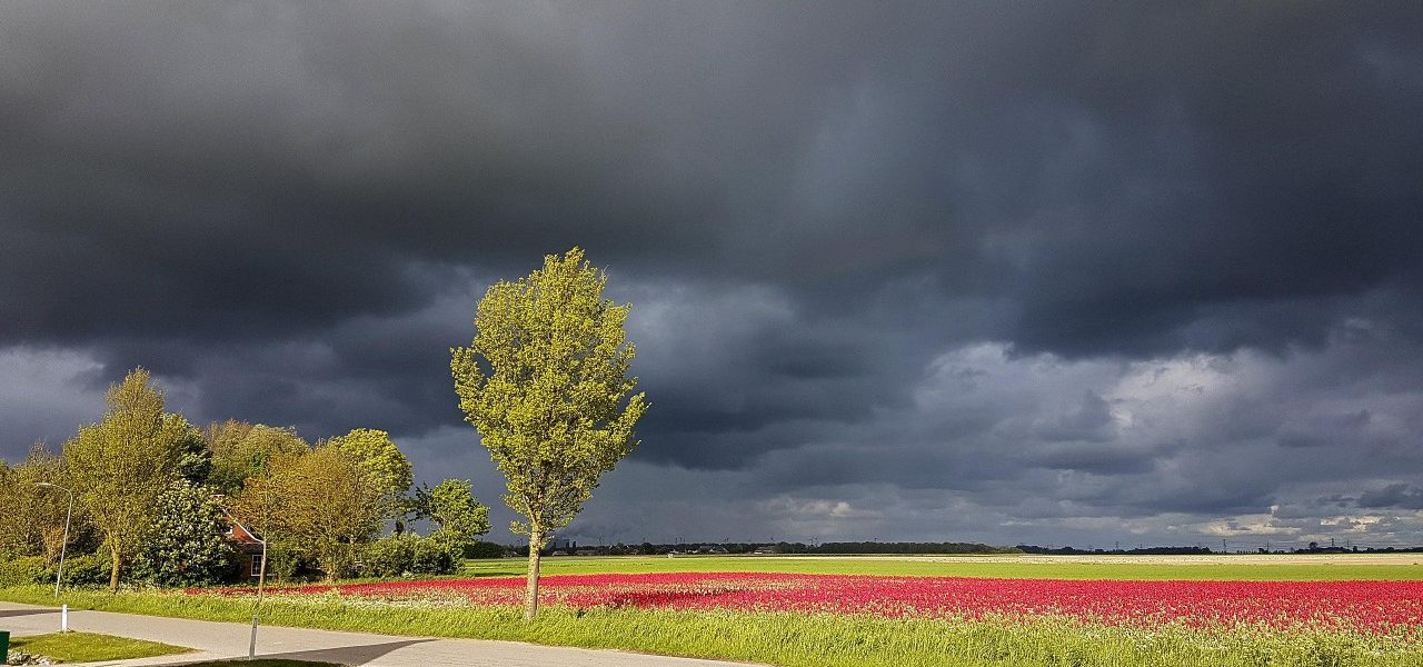 Koel en buiig Hemelvaartsweekend op komst