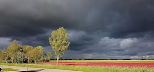 Koel en buiig Hemelvaartsweekend op komst