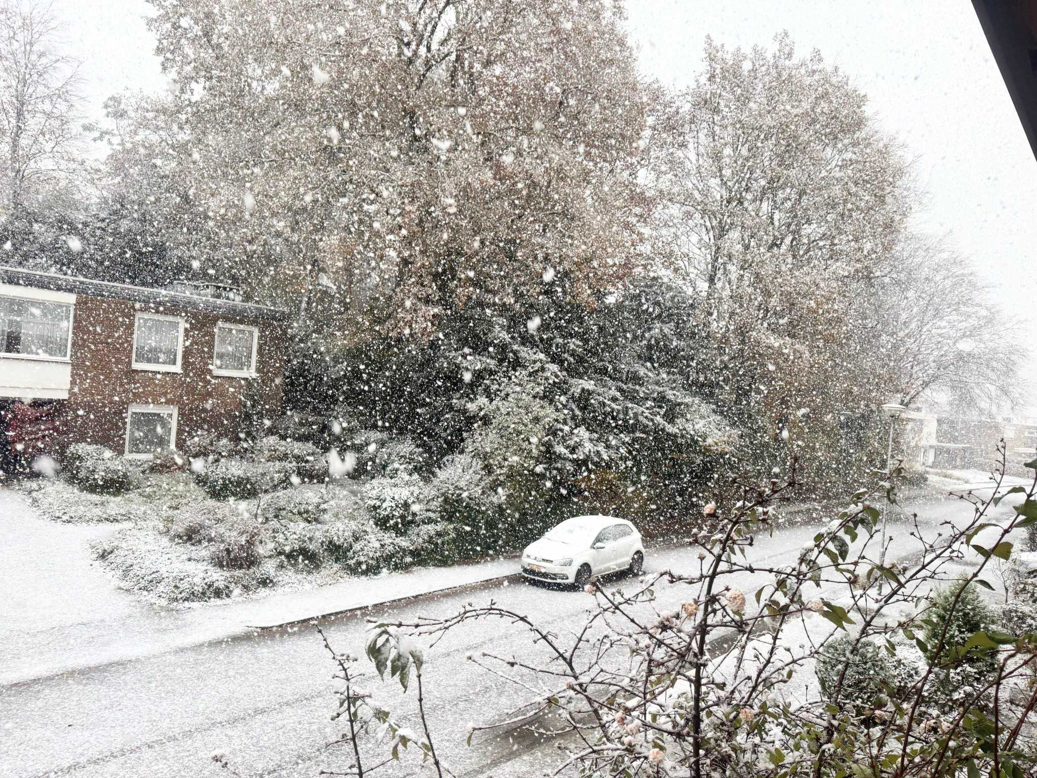 Sneeuw in Schinveld, Limburg. Foto: Pascal Soomers