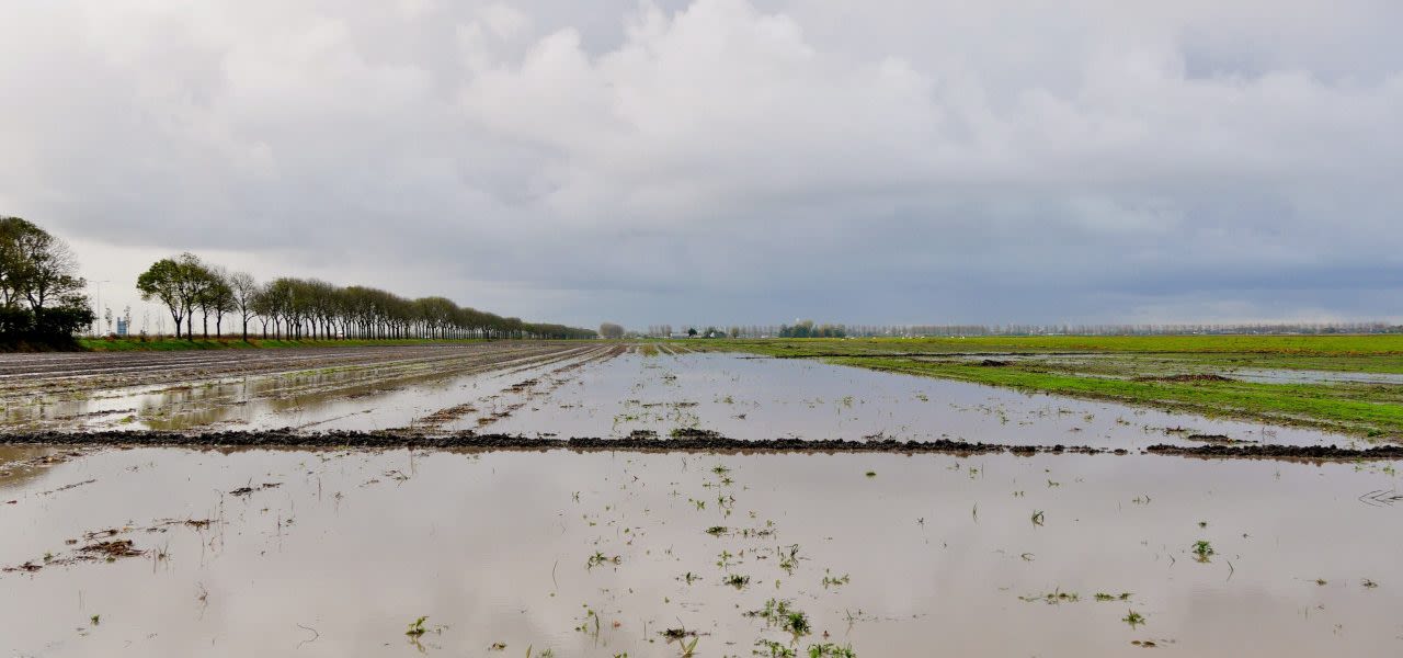 Ton-Wesselius-herfst-2019-was-nat-zonder-storm-1280x600