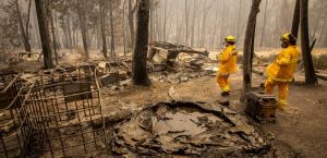 Half miljoen mensen verlaten huis door natuurbranden