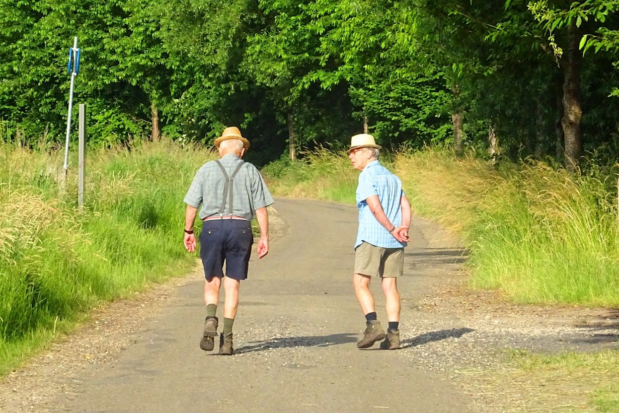 Wandelaars in de zon met zomers weer. Foto: Elly Theunisse
