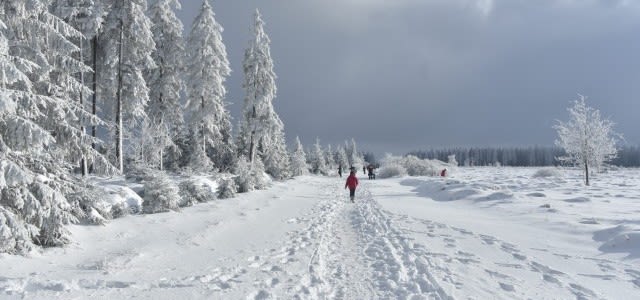 Sneeuw-op-de-Hoge-Venen-in-sneeuwrijke-maar-sombere-januari-verkleind-e1549056032300