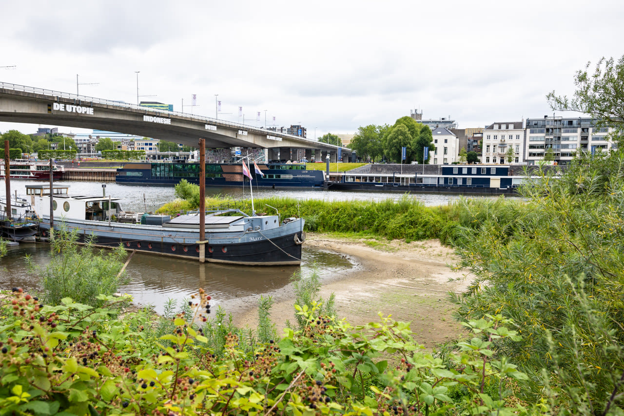 De Rijn bij Arnhem in juli 2026. Foto: MARCEL KRIJGSMAN / ANP