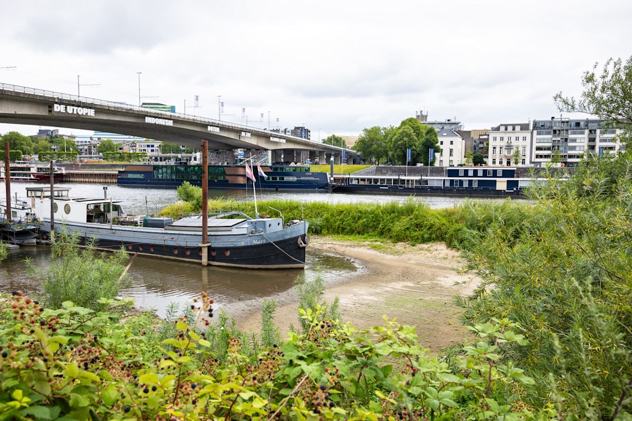 De Rijn bij Arnhem in juli 2026. Foto: MARCEL KRIJGSMAN / ANP